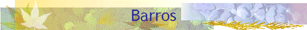 Barros